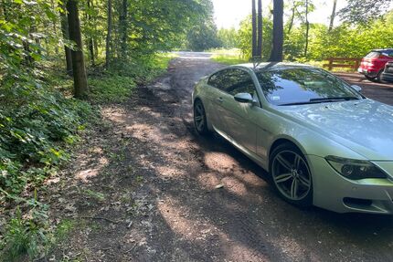 BMW M6 Gebrauchtwagen