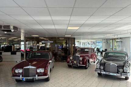 Rolls Royce Silver Shadow Gebrauchtwagen