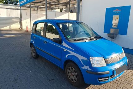 Fiat Panda Gebrauchtwagen