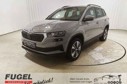 Skoda Karoq Gebrauchtwagen