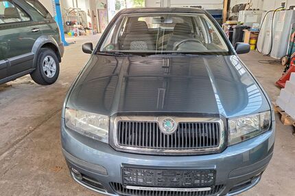 Skoda Fabia Gebrauchtwagen