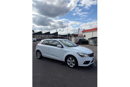 Kia pro ceed / ProCeed Gebrauchtwagen