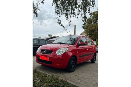 Kia Picanto Gebrauchtwagen