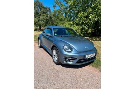 VW Beetle Gebrauchtwagen