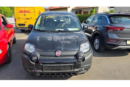 Fiat Panda Gebrauchtwagen