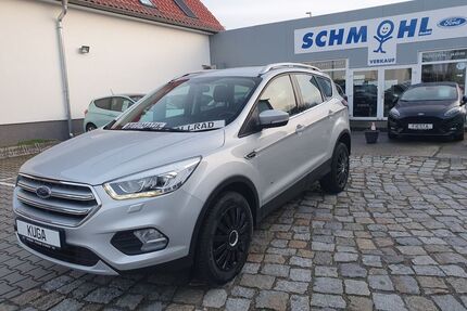 Ford Kuga Gebrauchtwagen