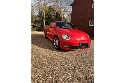 VW Beetle Gebrauchtwagen