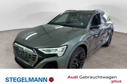 Audi Q8 e-tron Gebrauchtwagen