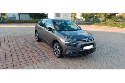 Citroen C4 Cactus Gebrauchtwagen