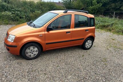 Fiat Panda Gebrauchtwagen