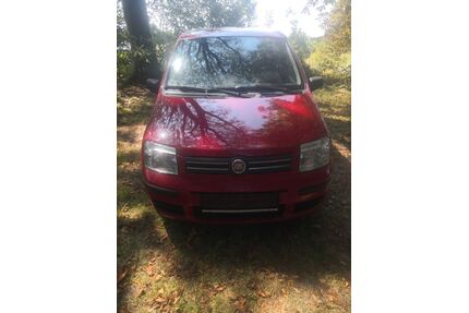 Fiat Panda Gebrauchtwagen