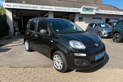 Fiat Panda Gebrauchtwagen