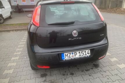 Fiat Punto Evo Gebrauchtwagen