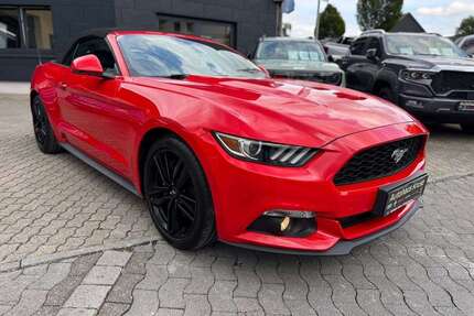 Ford Mustang Gebrauchtwagen