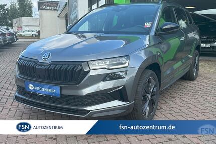 Skoda Karoq Gebrauchtwagen