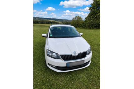 Skoda Fabia Gebrauchtwagen