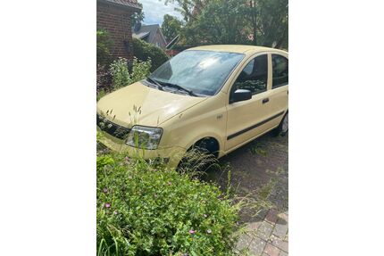 Mitsubishi Panda 