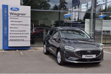 Ford Fiesta Gebrauchtwagen