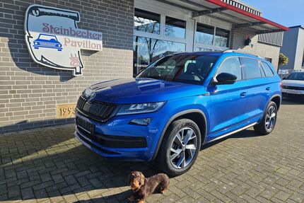 Skoda Kodiaq Gebrauchtwagen