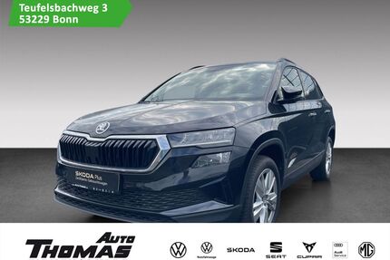 Skoda Karoq Gebrauchtwagen