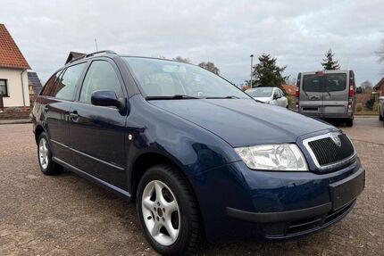 Skoda Fabia Gebrauchtwagen
