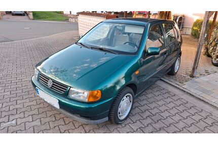 VW Polo Gebrauchtwagen