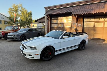 Ford Mustang Gebrauchtwagen