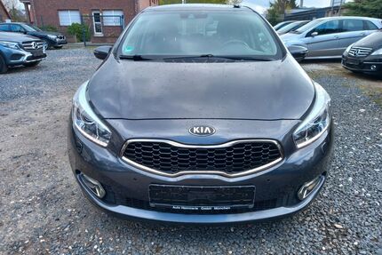 Kia ceed / Ceed Gebrauchtwagen