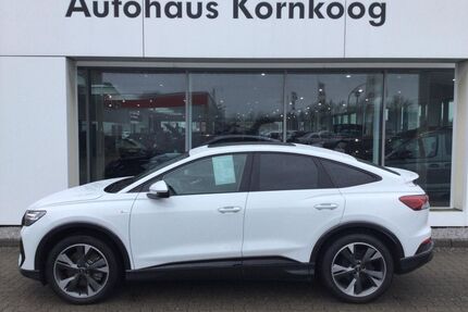 Audi Q4 e-tron Gebrauchtwagen