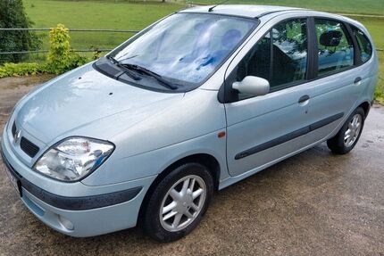Renault Scenic Gebrauchtwagen