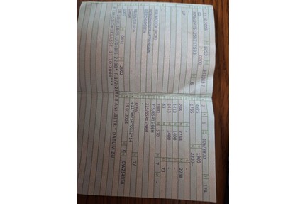 Kia Carnival Gebrauchtwagen