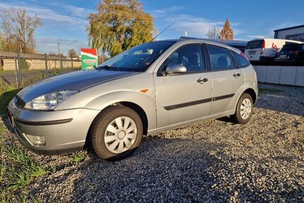 Ford Focus Gebrauchtwagen