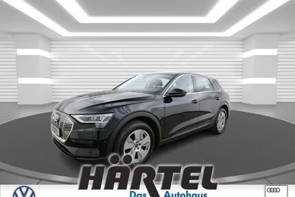 Audi e-tron Gebrauchtwagen