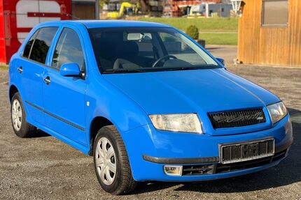 Skoda Fabia Gebrauchtwagen