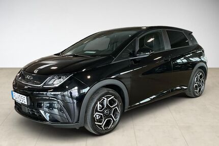 BYD DOLPHIN Gebrauchtwagen