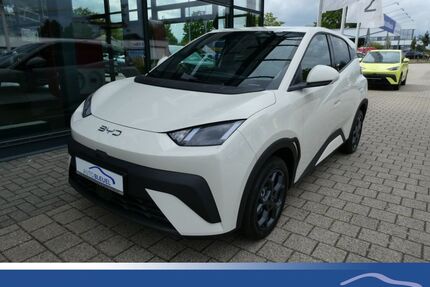 BYD DOLPHIN Gebrauchtwagen