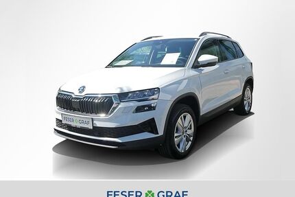 Skoda Karoq Gebrauchtwagen