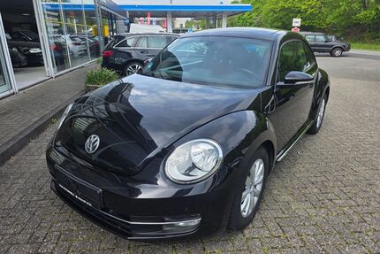 VW Beetle Gebrauchtwagen