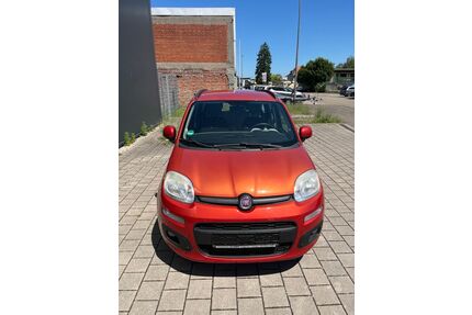 Fiat Panda Gebrauchtwagen