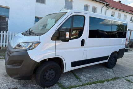Fiat Ducato Gebrauchtwagen