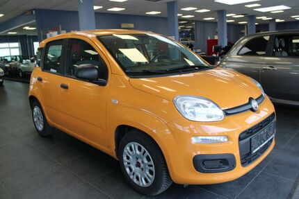 Fiat Panda Gebrauchtwagen