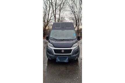 Fiat Ducato Gebrauchtwagen