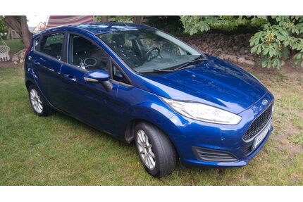 Ford Fiesta Gebrauchtwagen