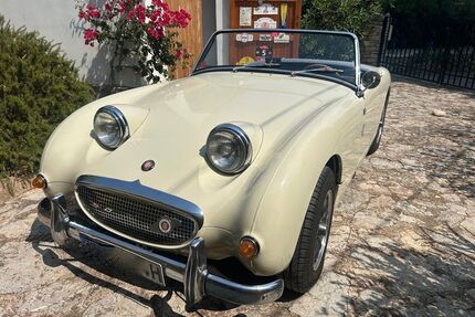 Austin Rover Andere Gebrauchtwagen