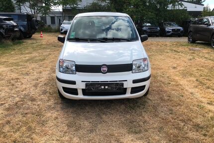 Fiat Panda Gebrauchtwagen