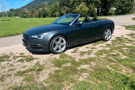 Audi A5 Gebrauchtwagen