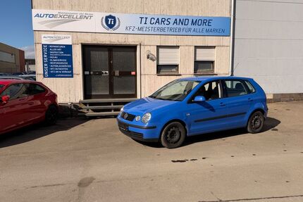 VW Polo Gebrauchtwagen