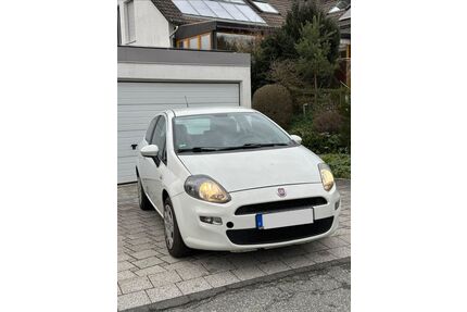 Fiat Punto Gebrauchtwagen