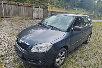 Skoda Fabia Gebrauchtwagen