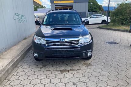 Subaru Forester Gebrauchtwagen